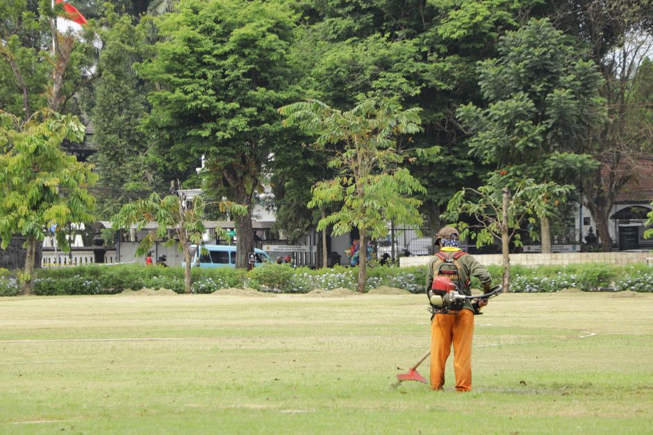 Lawn care professional inspecting grass